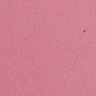 Dekorativna guma EVA 2 mm 20x30 cm – , Pastel rose