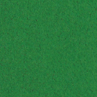 Dekorativna guma EVA 2 mm 20x30 cm – , Dark green