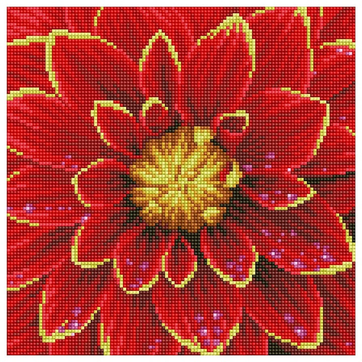 Set sa perlicama Diamond Painting - Dalija 30,5 x 30,5 cm