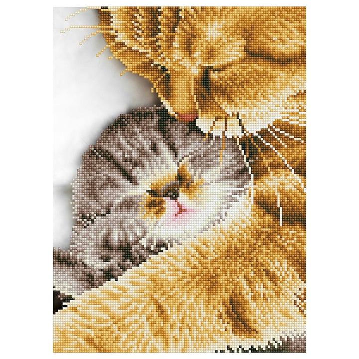 Set sa perlicama Diamond Painting - Trenutak nežnosti 30 x 41 cm