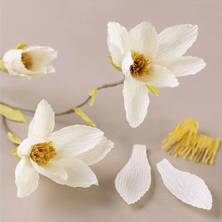 Mini kreativni set | Grančica magnolije od papira krep