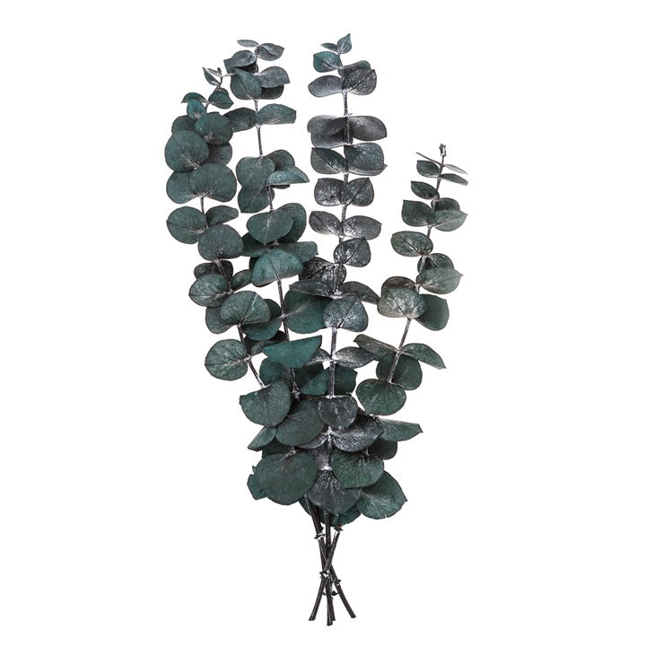 Stabilizovani eukaliptus bebi plavi / 4 stabljike, zeleni, 20 cm