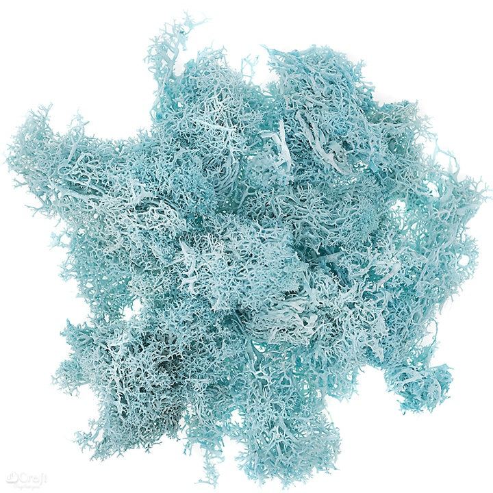 Prirodna mahovina 30 g