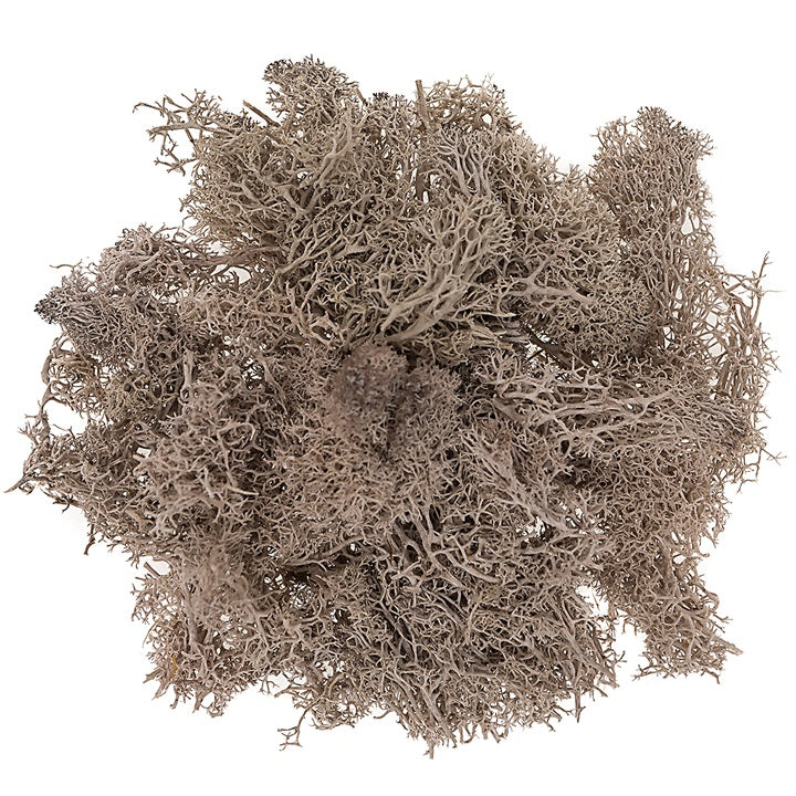 Prirodna mahovina 30 g