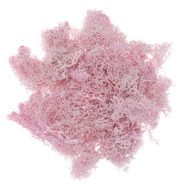 Prirodna mahovina 30 g