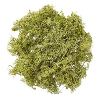 Prirodna mahovina 30 g