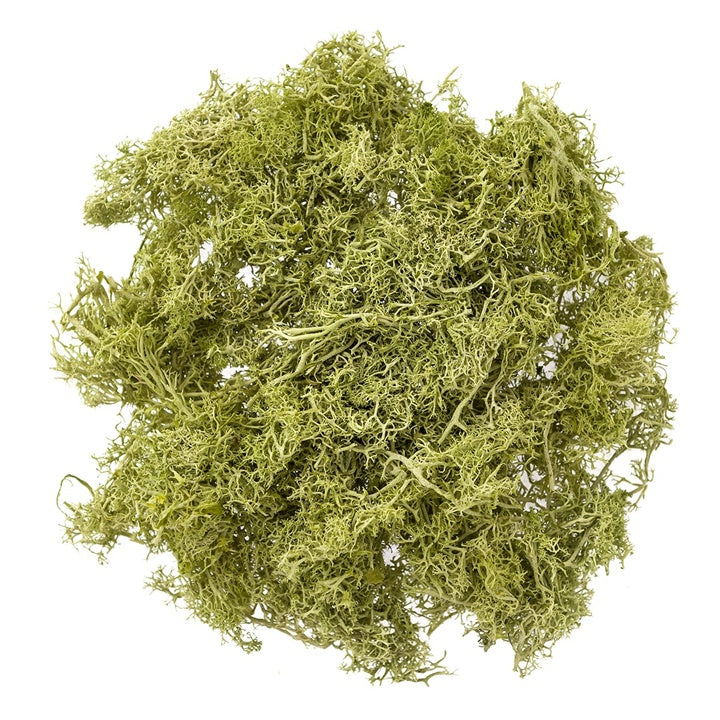 Prirodna mahovina 30 g