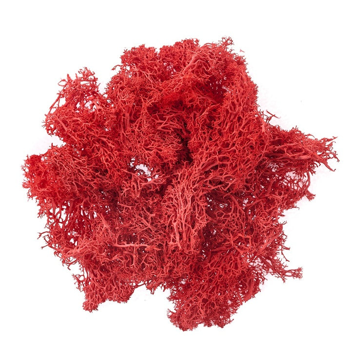 Prirodna mahovina 30 g