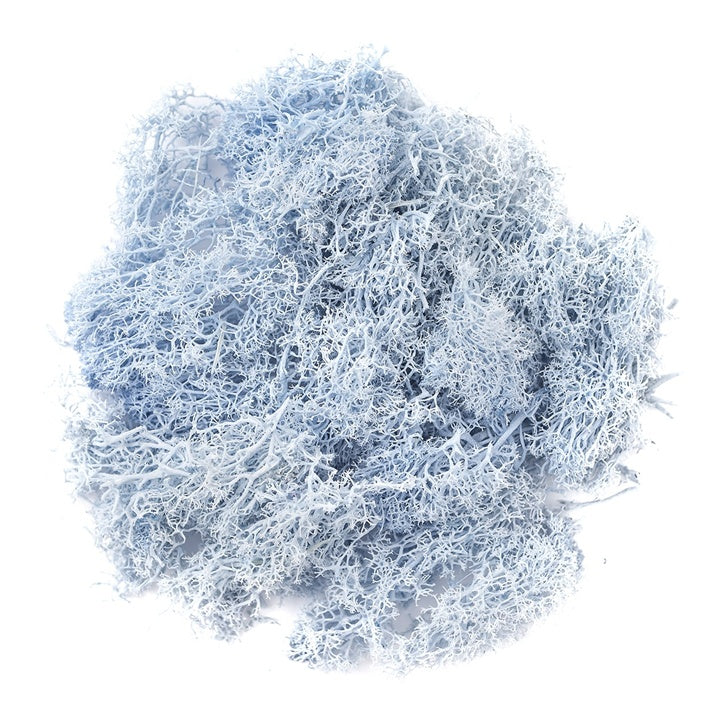 Prirodna mahovina 30 g