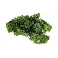 Islandska mahovina 500 g