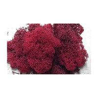 Islandska mahovina 500 g