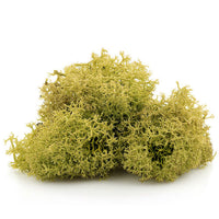 Islandska mahovina 12 g