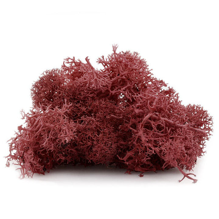 Islandska mahovina 12 g