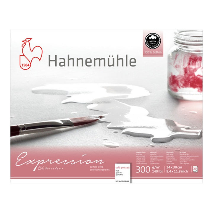 Hahnemuhle Ekpression Vatercolor Papir