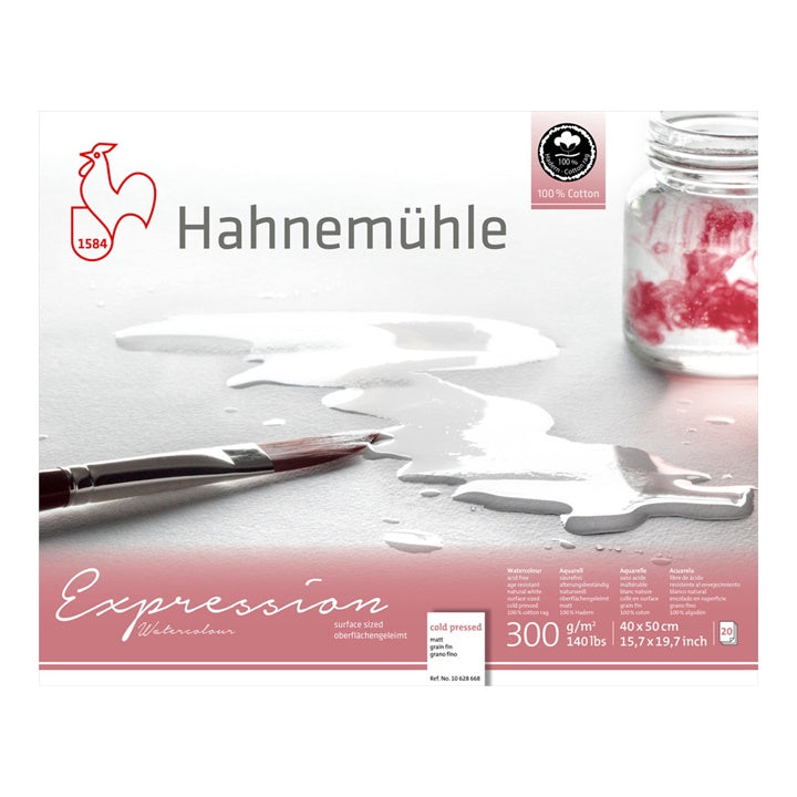 Hahnemuhle Ekpression Vatercolor Papir