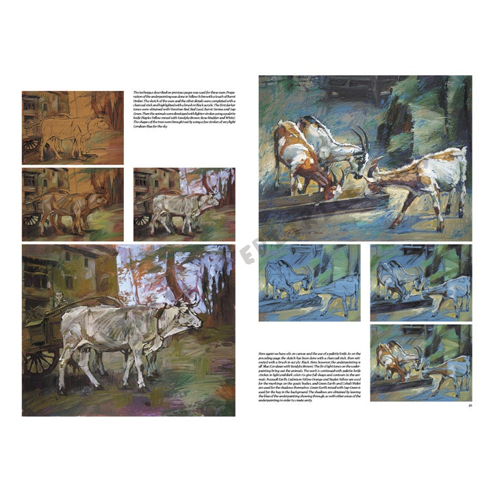 Leonardo Collection 13 - Životinje