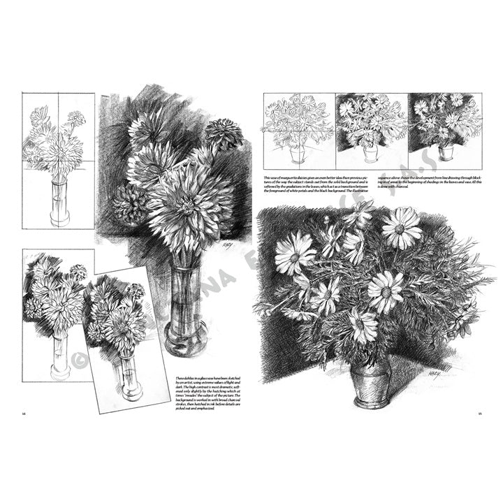 Leonardo Collection 21 Flovers Draving Book