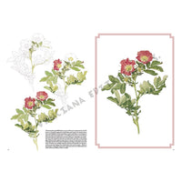 Leonardo Collection 42 Roses