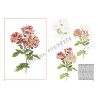 Leonardo Collection 42 Roses