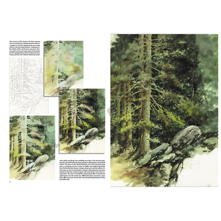 Leonardo Collection 45 Trees and Leaves