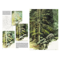 Leonardo Collection 45 Trees and Leaves