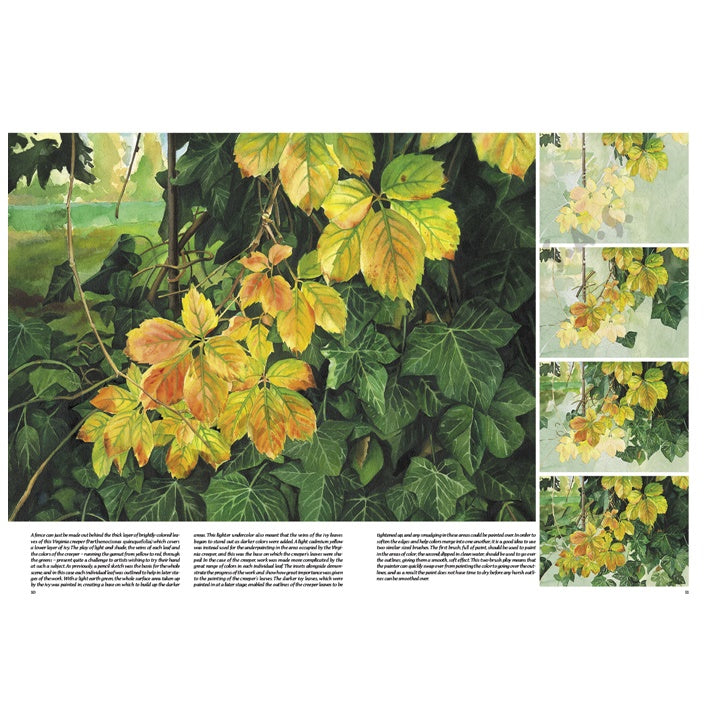 Leonardo Collection 45 Trees and Leaves