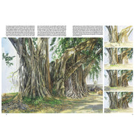Leonardo Collection 45 Trees and Leaves