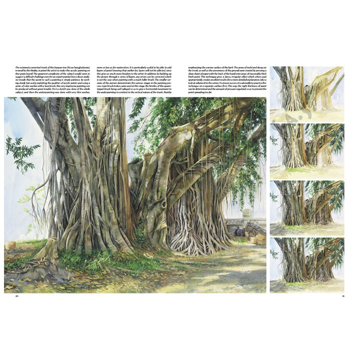 Leonardo Collection 45 Trees and Leaves