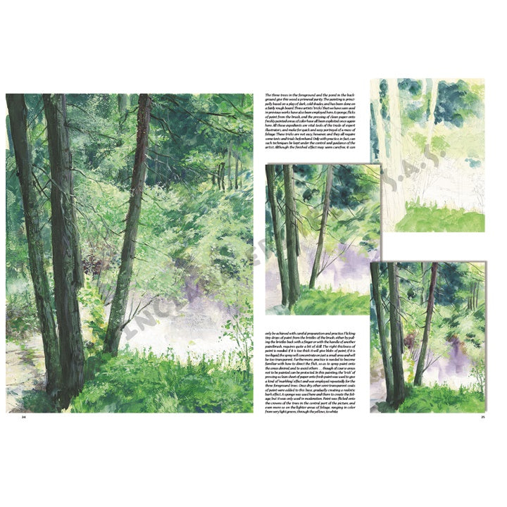 Leonardo Collection 45 Trees and Leaves