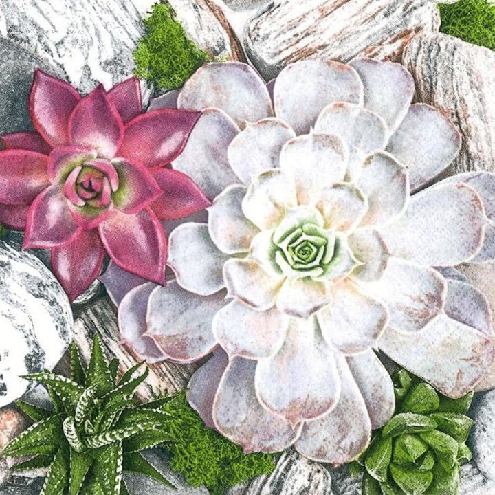Salveta za dekupaž Succulent Plants and Stones Composition - 1 kom
