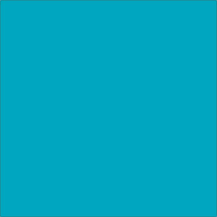 Pentart tečni pigmenti 10 ml