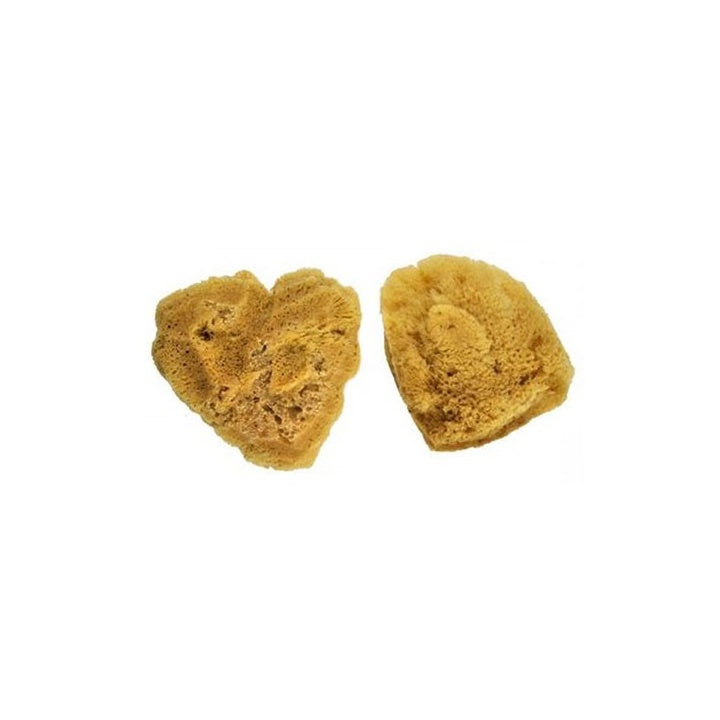 Prirodni morski sunđeri veliki od Roial &amp; Langnickel - pakovanje od 2 komada