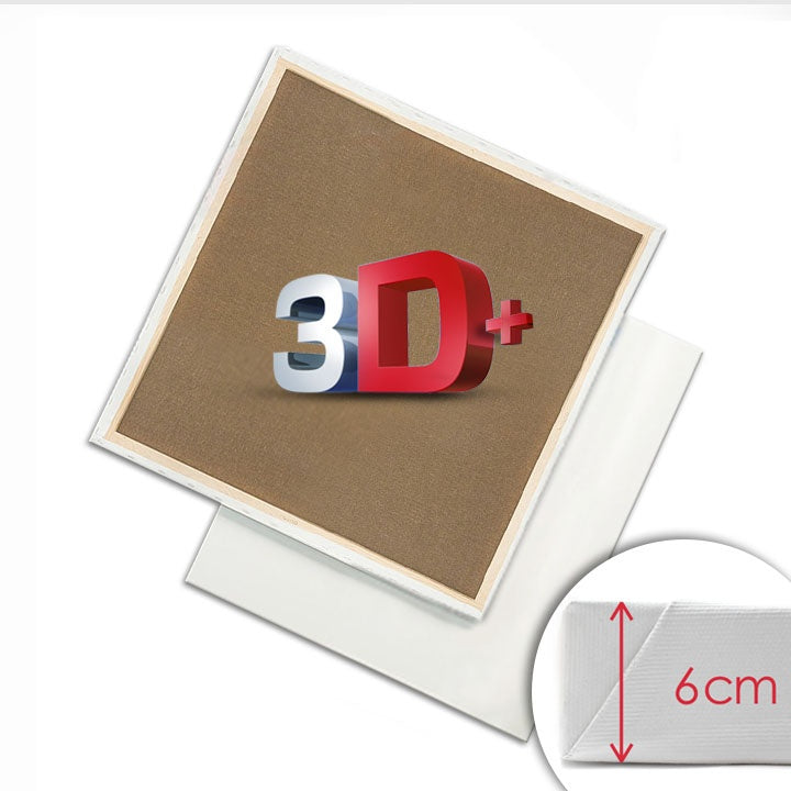 3D  Slikarsko platno na okviru PROFI