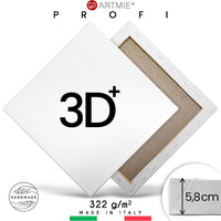 3D  Slikarsko platno na okviru PROFI