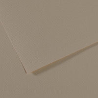 Canson Mi-Teintes papir za pastel 50 x 65 cm 160 g 25L – Ostriga 340