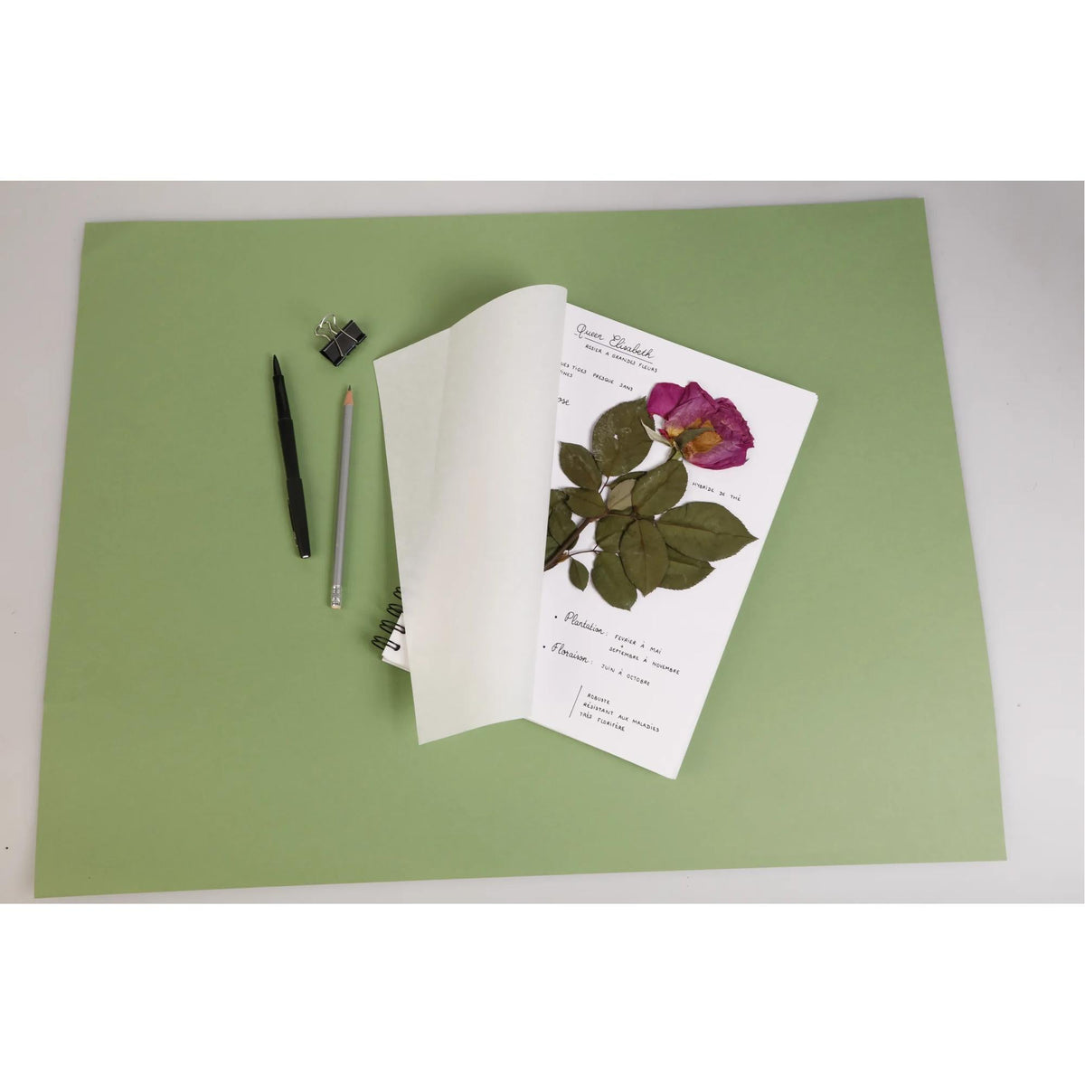 Herbarijum CLAIREFONTAINE 180 g/m² 21 x 21 cm - 32 listova