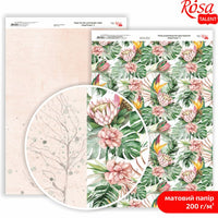 Papiri za scrapbooking King Protea A4