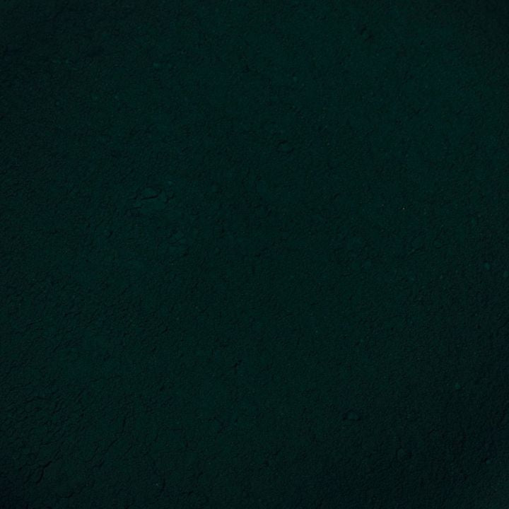 Pigment u prahu Renesans 50 g | različite boje - maslinasto zelena