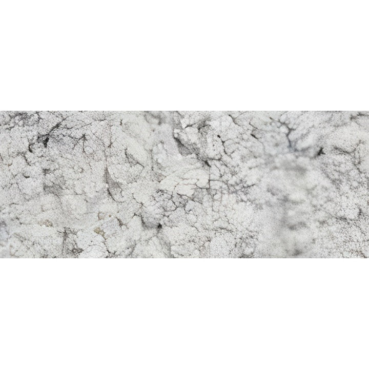 Pigment u prahu Renesans 50 g | različite boje - biserno bela