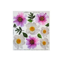 Providna folija za sospeso tehniku 23x24 cm Peony | artmie.pl